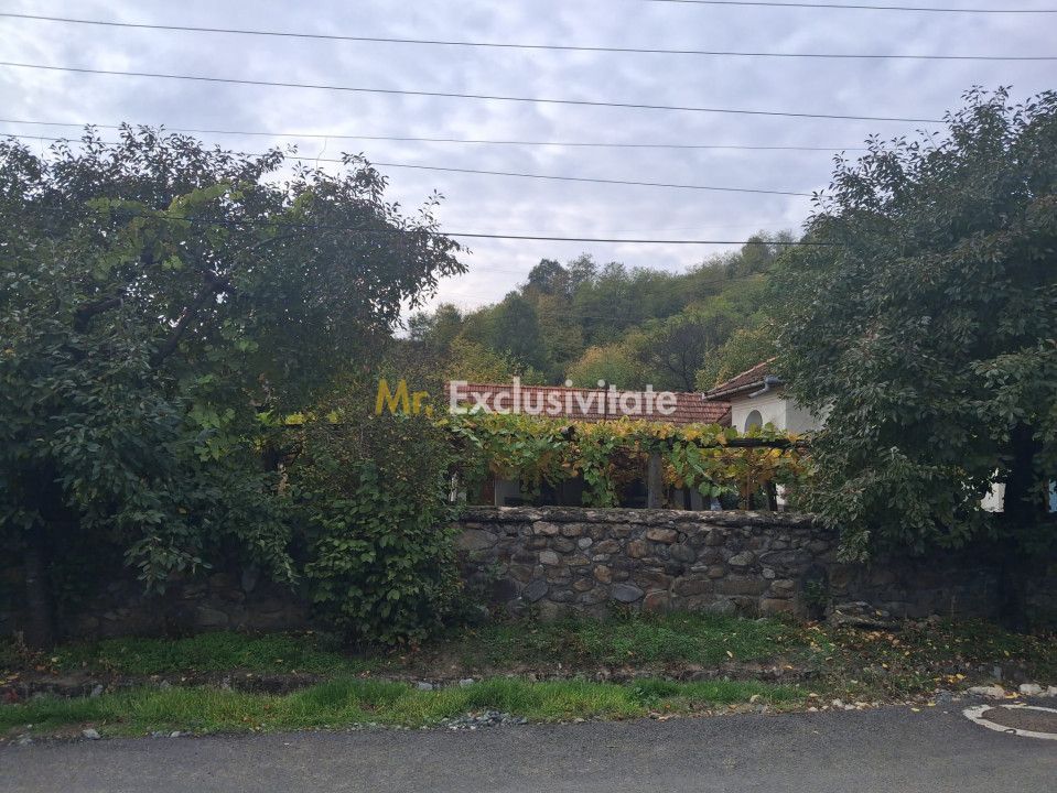 Casă tradițională cu teren generos – Borosteni, Peștișani, jud. Gorj - Poză 4