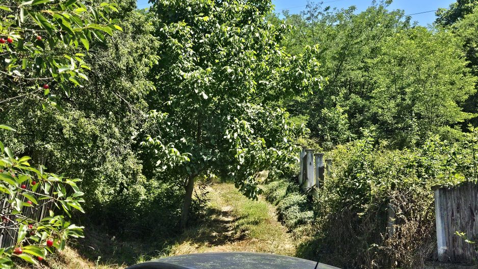 Vanzare teren intravilan, Zigoneni - Curtea de Arges - Poză 5