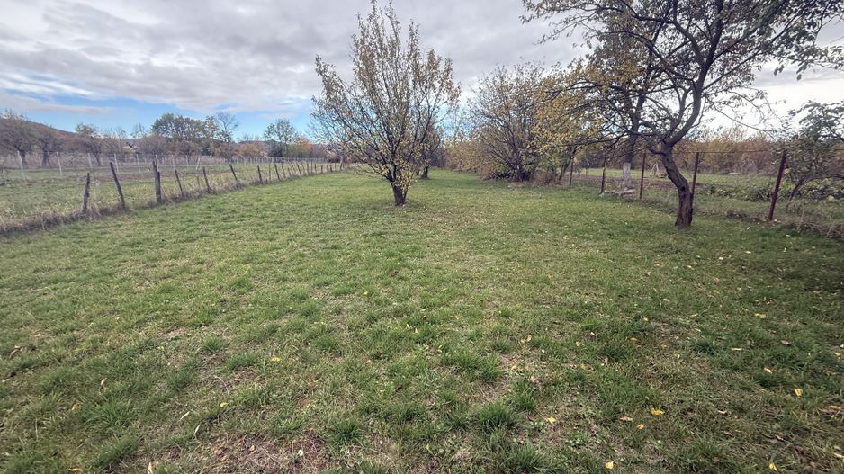 Teren intravilan împrejmuit 2331 mp la strada, toate utilitățile! - Poză 5