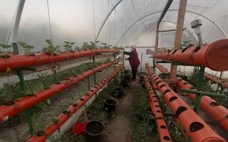 Casa de vanzare cu potential ridicat in Cornatel jud.Sibiu - Poză 5