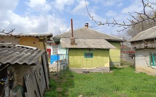 Casă tradițională cu teren generos în Oțeleni, județul Iași - Poză 4