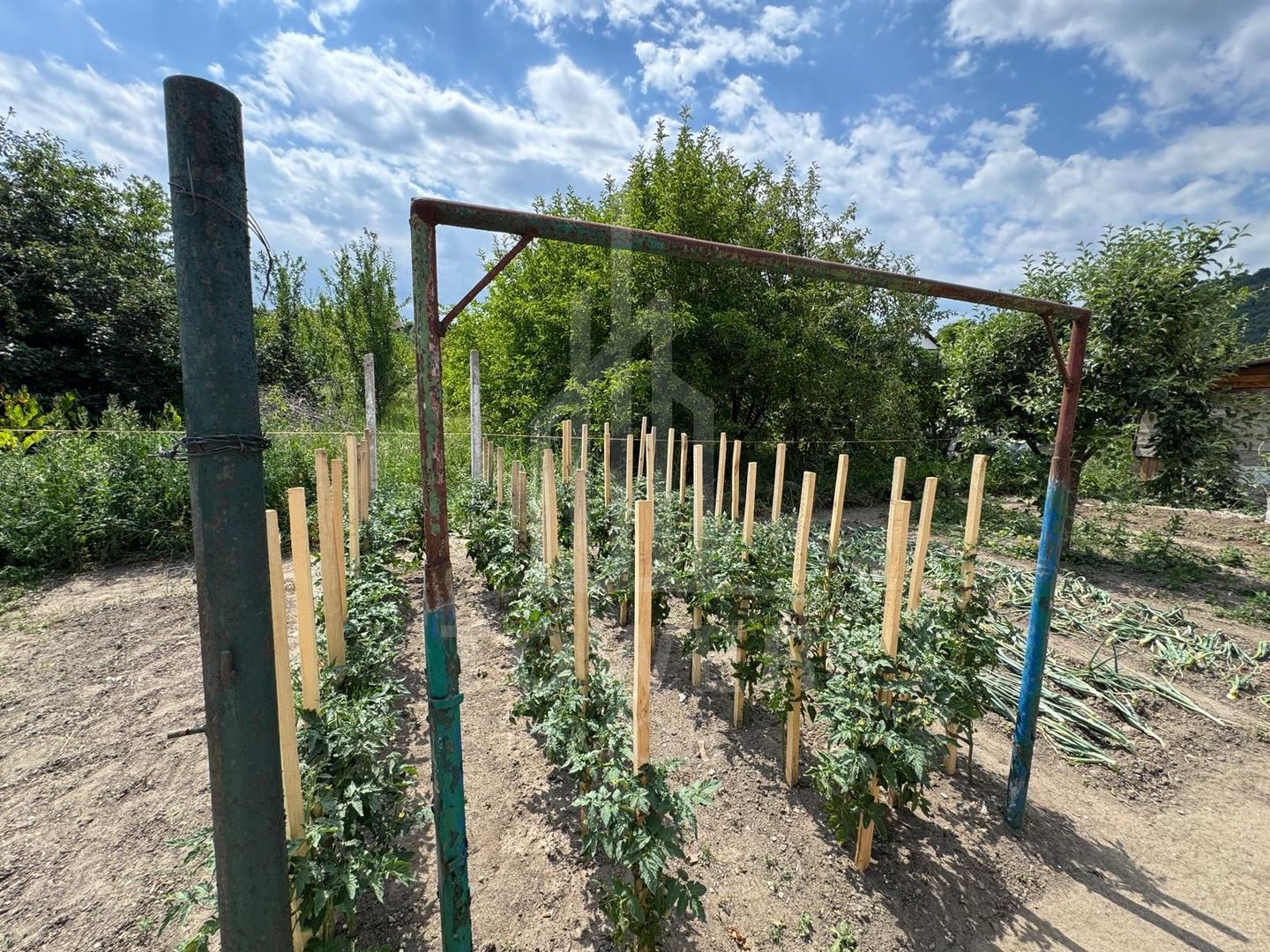 Casă spațioasă in Seica Mare - Centru | 92mpu 638mp teren - EXCLUSIVITATE - Poză 6