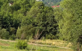 Parcele 1000 mp Sohodol - Poză 12