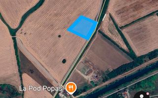 Comision 0% Oportunitate investiție – Terenuri extravilane în Utvin și Sanmihai - Poză 4