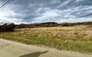 Teren extravilan 868 mp, Cârțișoara - Poză 3