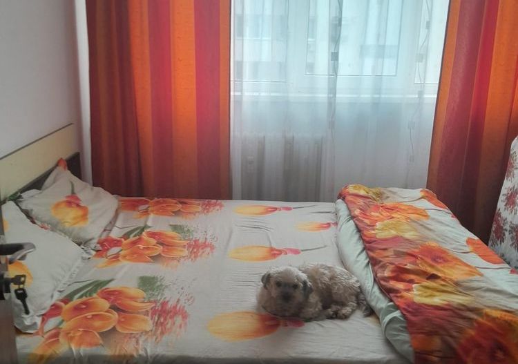 Vânzare Apartament 4 Camere – 63 mp, Etaj 10/10, Bloc 1972 – Drumul Taberei - Poză 2