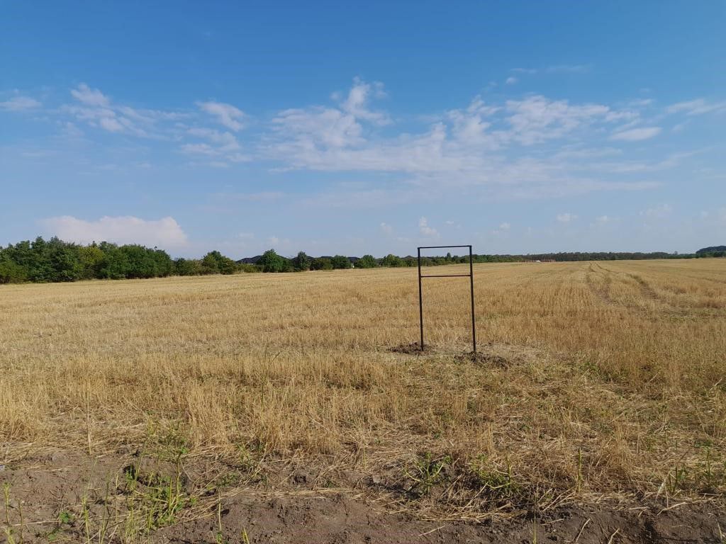 Teren Tamasi Corbeanca - Poză 3