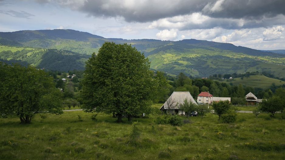 Teren Rogojel 15.000MP 8 EURO/MP - Poză 3