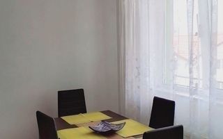 Apartament 1 Camera | 36MPU | Pet Friendly | Turnisor - Poză 5