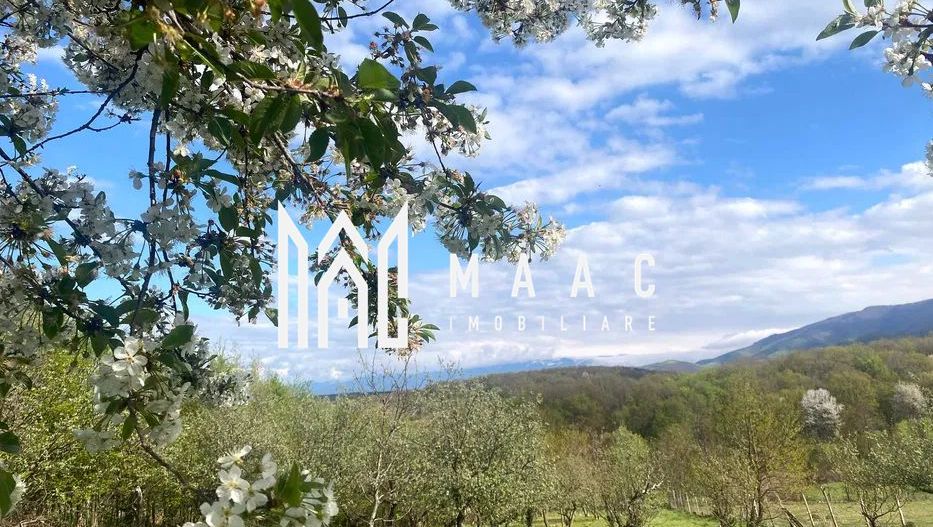 Teren intravilan I 3370 mp I PUZ pentru P+2 I Zona  Cisnadie - Poză 5