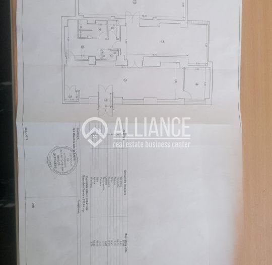 DACIA (COD10) - Spatiu comercial de inchiriat 223 mp utili - Poză 5