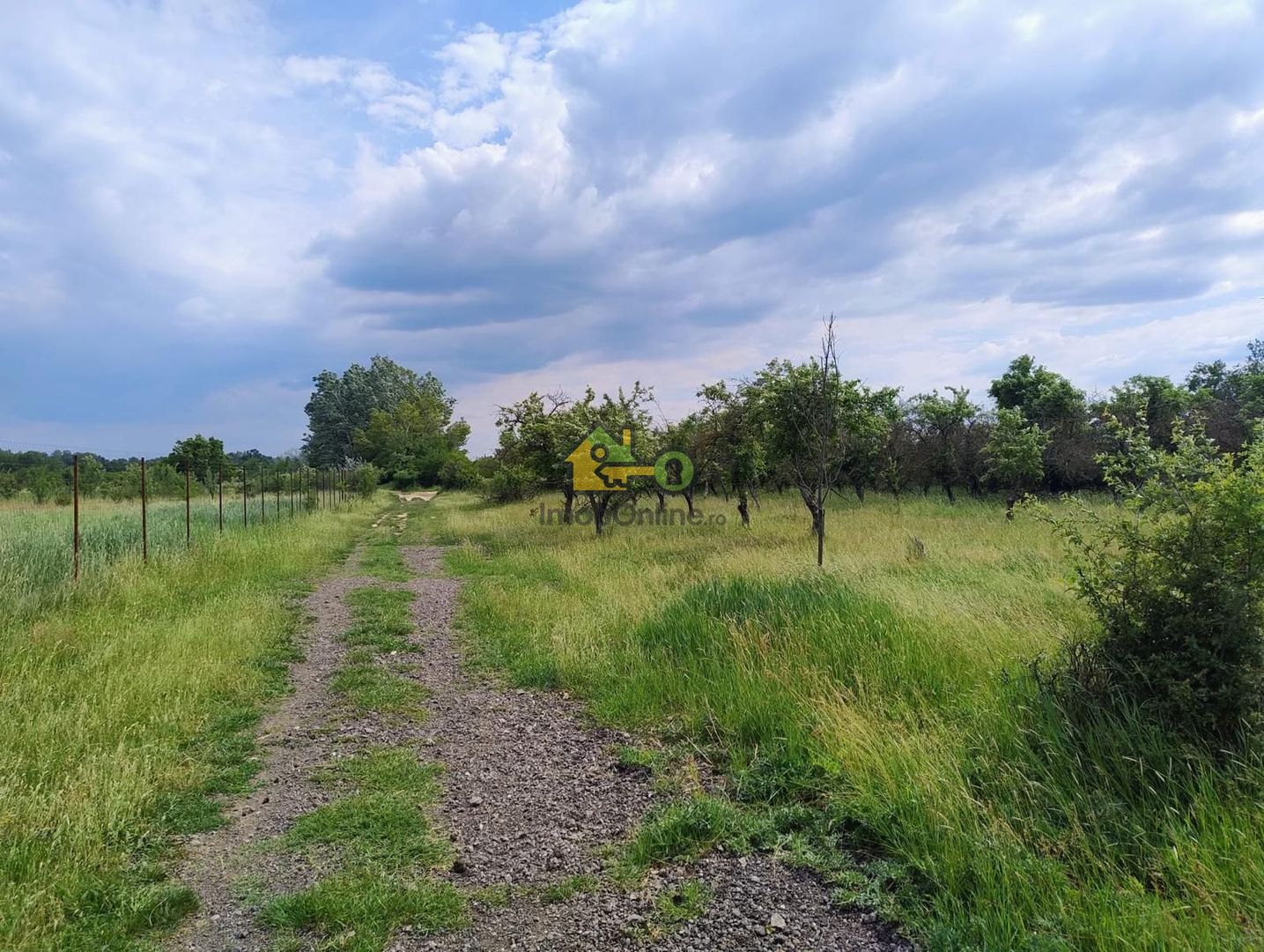 teren intravilan in sag 1271 mp - Poză 3
