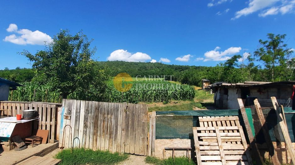 Casă / Vilă cu 2 camere de vânzare în Totoesti - Poză 8