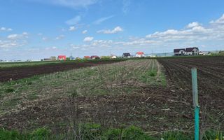 Teren de vânzare în Stolniceni-Prăjescu, 1250 mp, deschidere 12.5 m - Poză 3
