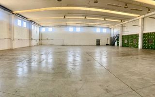 Sapient | Hală situata în com. Borș - Poză 11