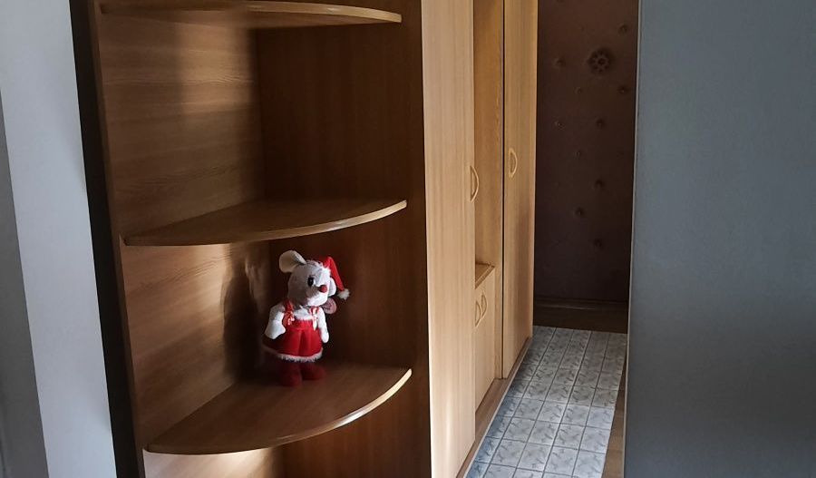 Torontalului-Str. Felix | Decomandat | Centrala proprie | Bloc izolat - Poză 5