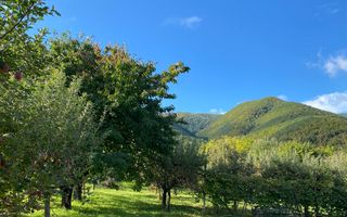 Teren intravilan 2100 mp - Valea Avligului - Sibiu - Poză 5