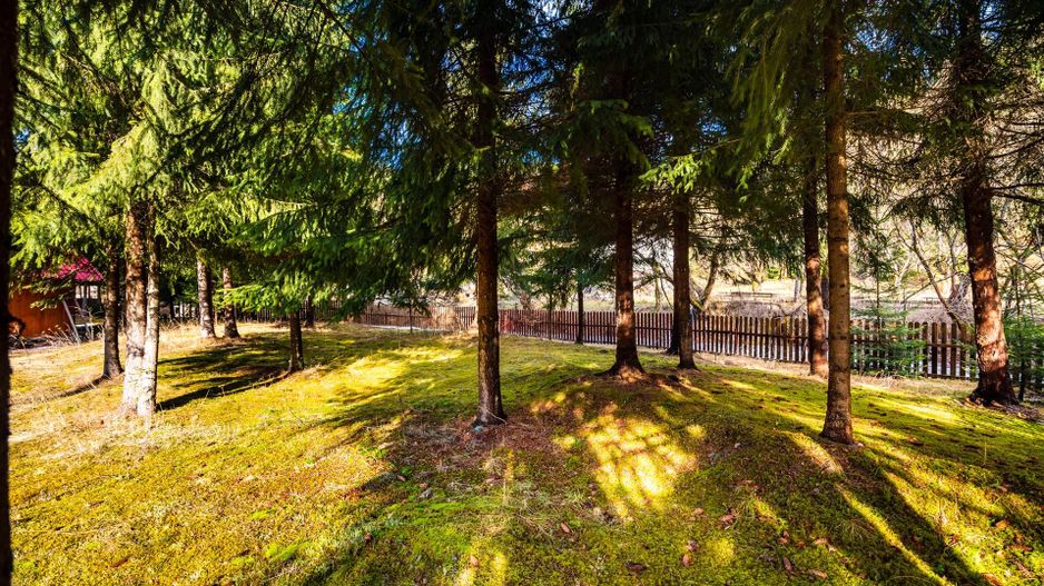 Cabane cu 10 camere Arieseni - Poză 13