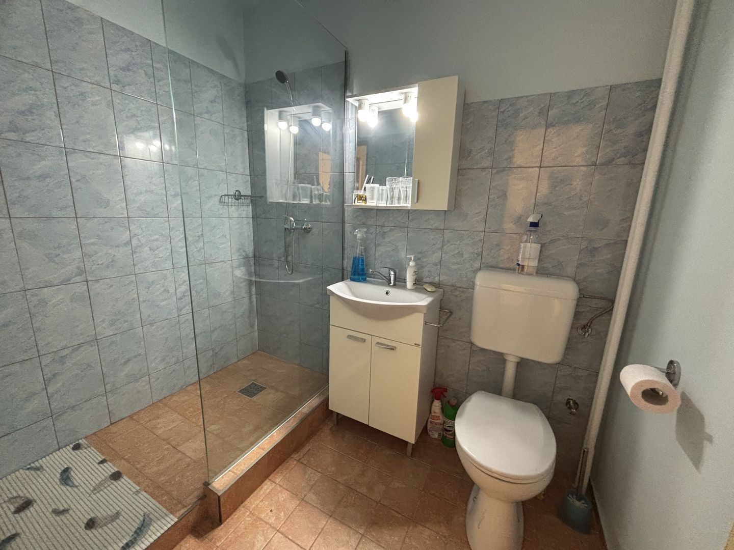 Apartament 1 camera la 10 minute de Iulius Mall - Poză 12