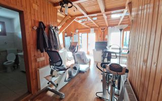 Casa din lemn D+P+M de 400 mp utili si teren 3.000 mp zona Faget - Poză 19