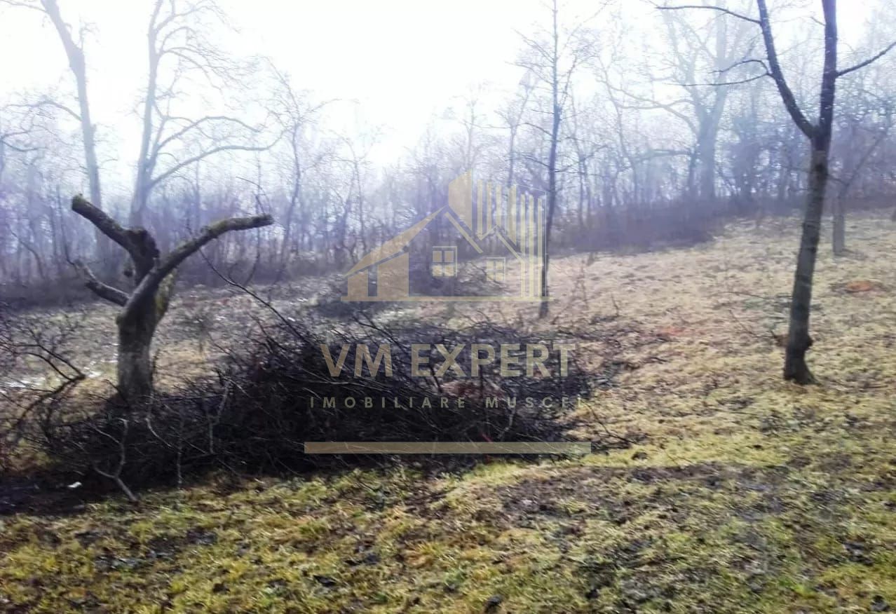 TEREN INTRAVILAN 3270 MP, CAMPULUNG - Poză 3