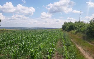 Teren cu spații industriale sau depozitare - Poză 4