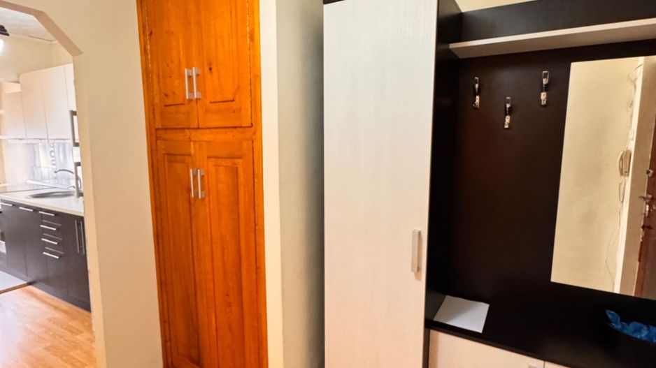 Apartament cu o cameră, decomandat – Rogerius - Poză 8