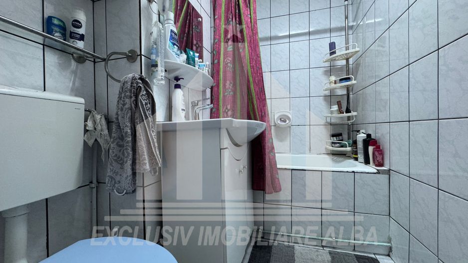 Apartament 2 camere de vanzare, Cetate - Poză 4
