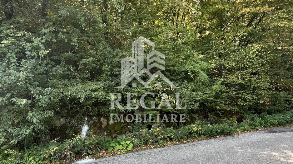 Teren extravilan de vânzare – Lacul Cinciș - Poză 6