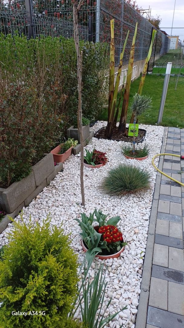 Comision 0% Duplex – Dumbrăvița 94 mp utili | teren 300 mp | - Poză 4