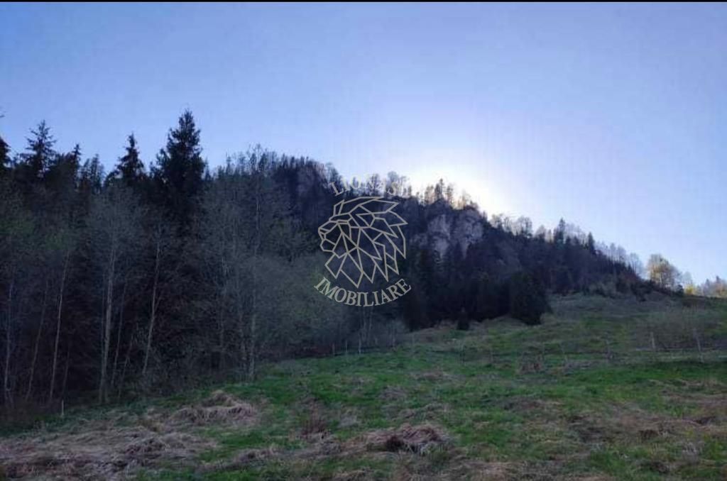 Teren intravilan 3200mp-parcelabil-panorama-Colibita-EXCULSIV - Poză 3