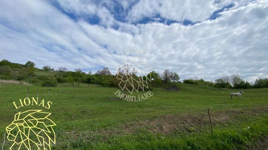 Teren Extravilan - Ghinda - 3.5000mp-Parcelabil - Poză 7