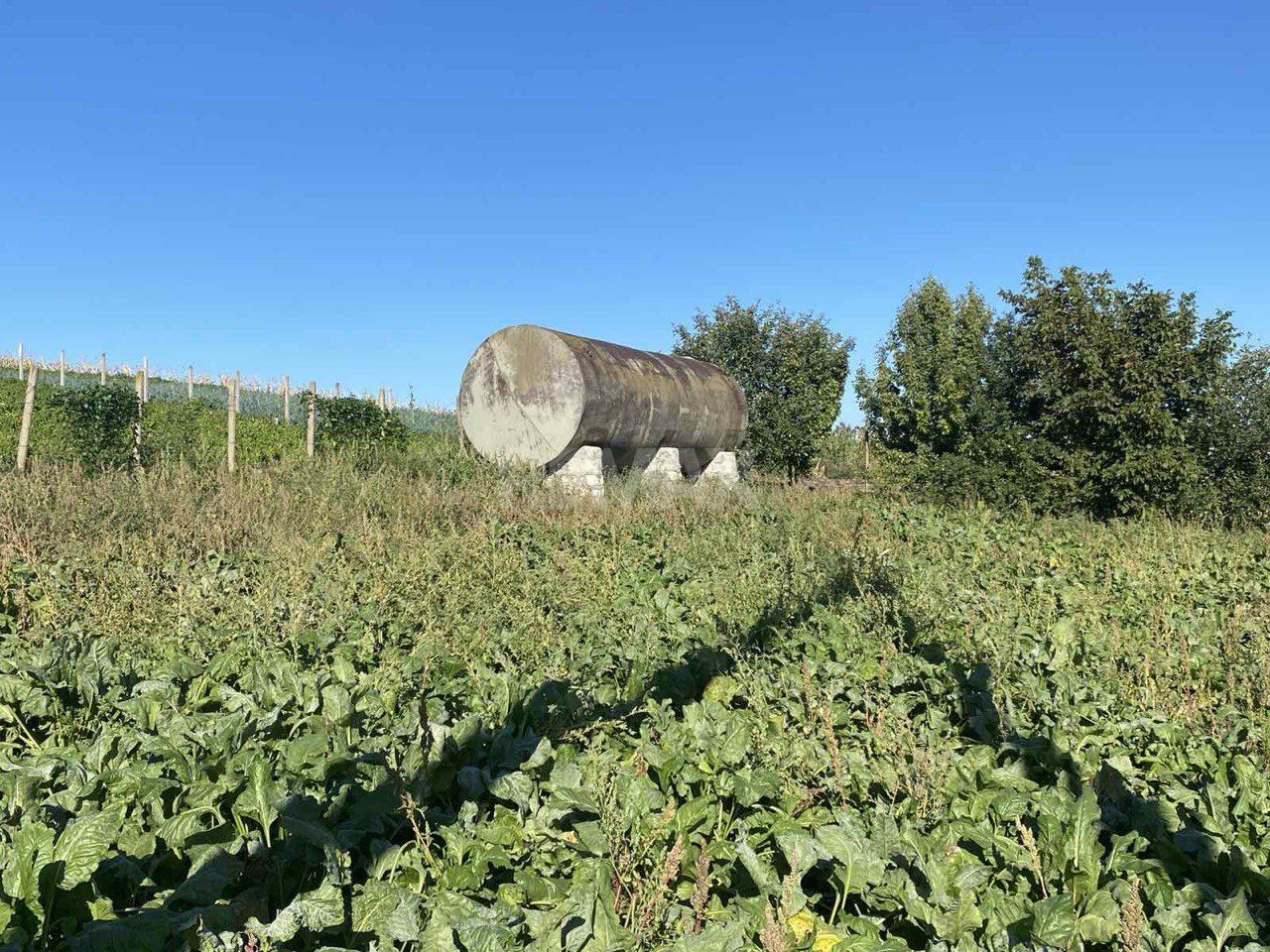Proprietate cu casă, teren, sere și sistem de irigare – 15 min de Orhei - Poză 5