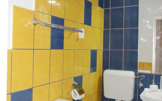 Apartament cu 3 camere mobilate,cartier Tractoru - Poză 10
