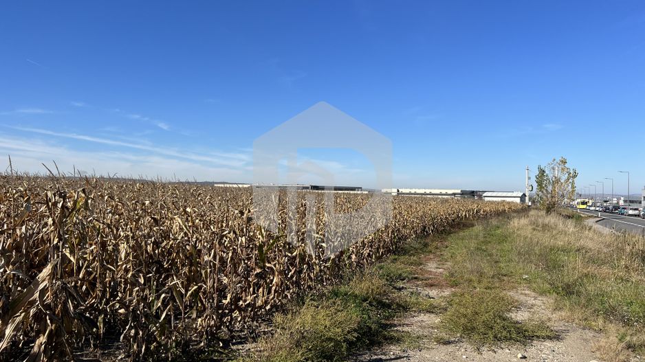 Teren industrial in zona Vest- deschidere la drum principal - Poză 3