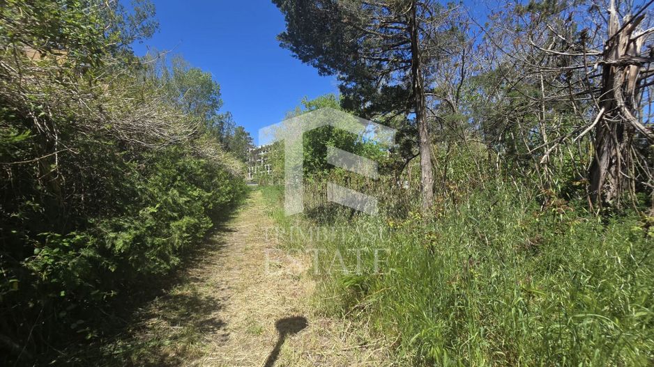 🏖 Teren de vanzare in Neptun – O oportunitate rara de investitie. - Poză 20