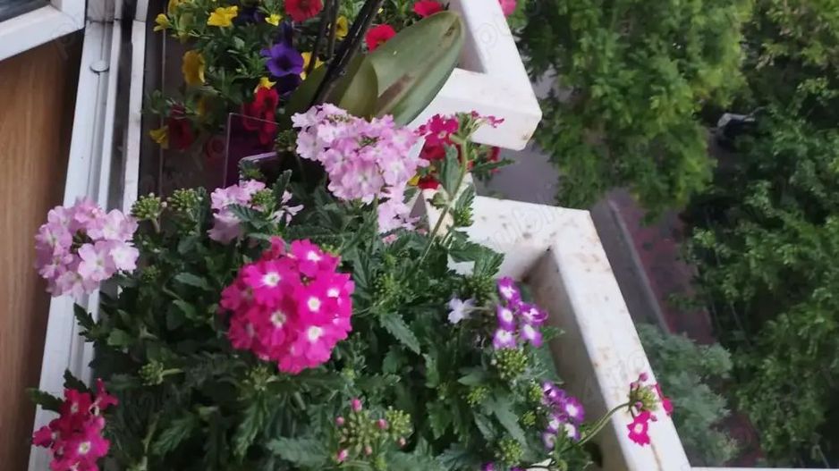 Apartament Timpuri Noi/Radu Vodă - Poză 1