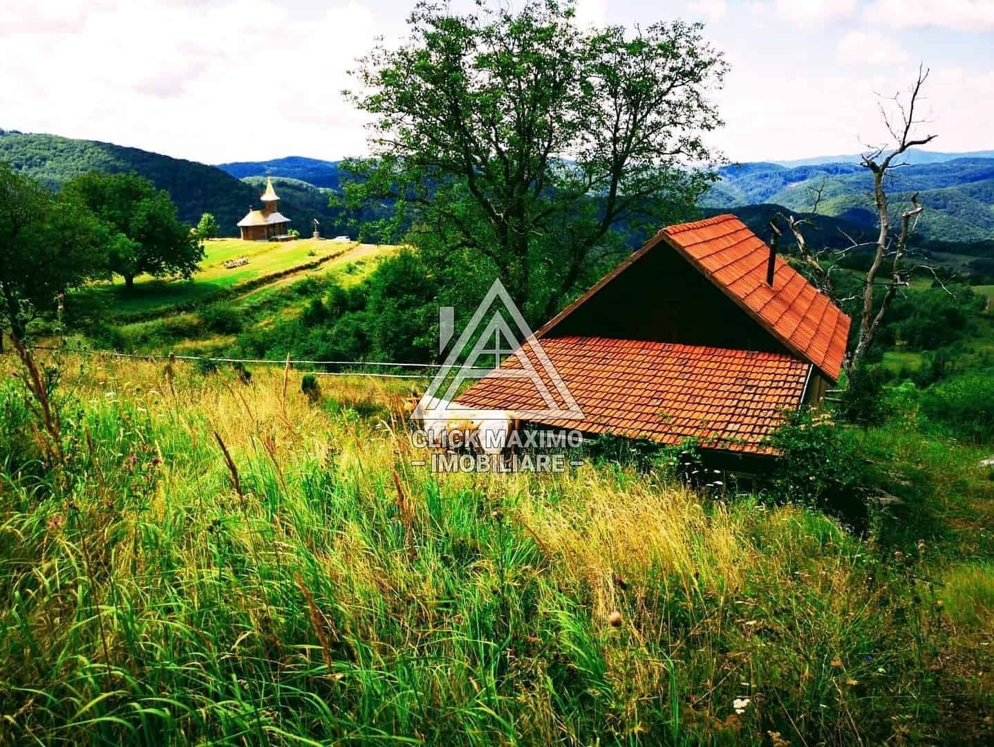 CASĂ și TEREN 85.000 mp – Casa părintească Părintele Arsenie Boca - Poză 12