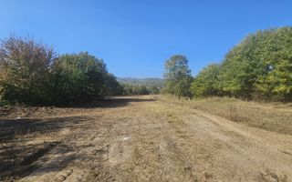 Teren 3960 mp / intravilan / Ramnicu Valcea - Poză 5