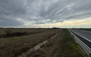 Teren 5.000 mp centura Calea Sagului- Freidorf. - Poză 3