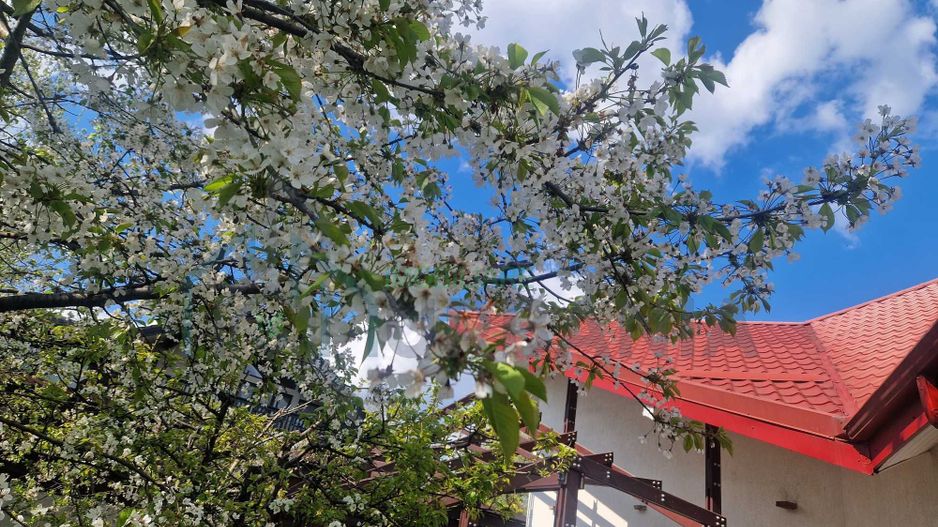 Casă de închiriat în cartierul Bucium, Iași - Poză 2