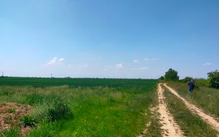 Teren extravilan agricol în Urseni - Poză 2