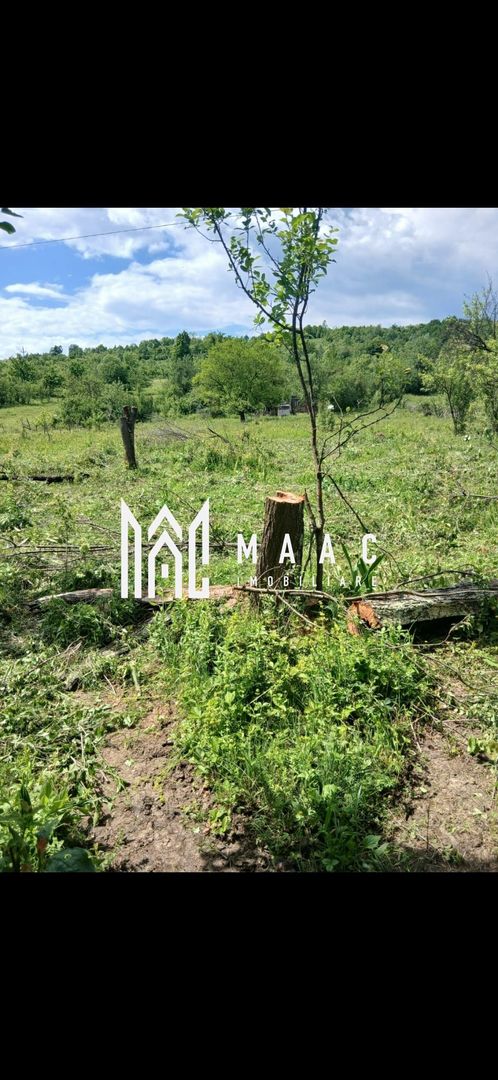 Teren Salatrucel | 8300 m | 12 euro/ metru | Intravilan si extravilan | - Poză 3
