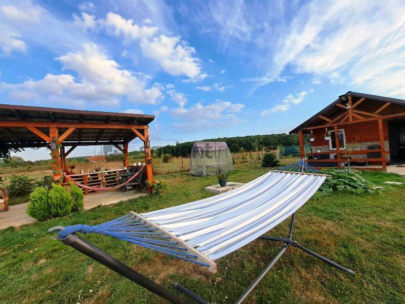 De vanzare casa de vacanta in Alparea - Poză 11