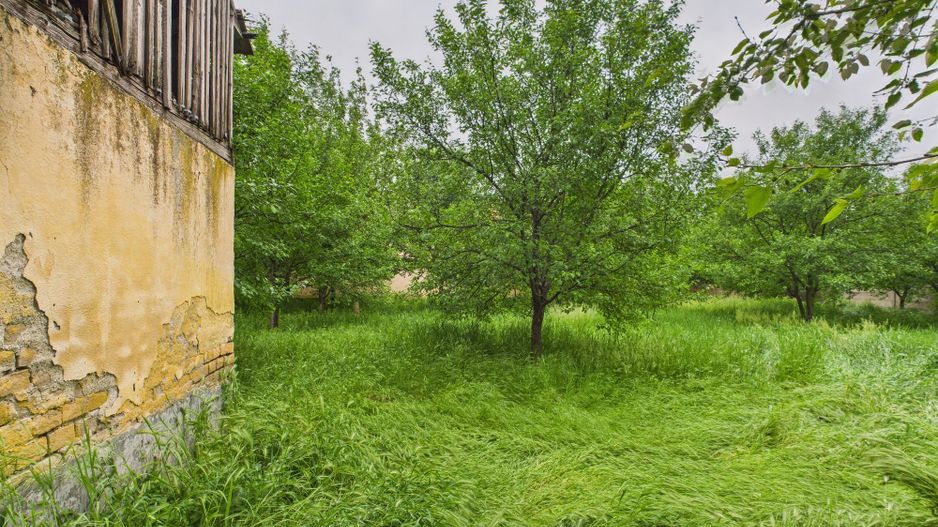 Casă de reabilitat pe teren generos- Comuna Variaș - Poză 27