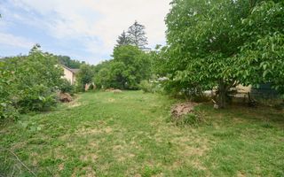 Teren 2240 mp intravilan + casa batraneasca Hintesti-Basangesti - Poză 8