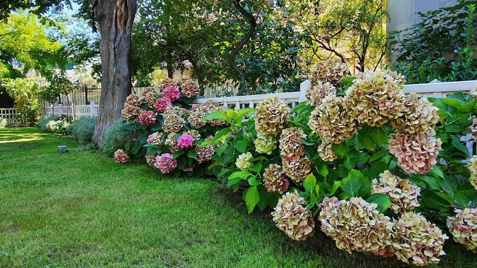 BIJUTERIE ISTORICĂ  SI RAR DE VANZARE in zona ARMENEASCA - Poză 4