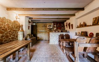 Domeniu în satul Căprioara - Poză 76