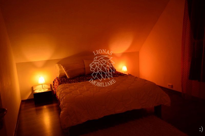 Cabana 5 camere-foisor / gratar / loc de joaca-Baile Figa - Poză 7