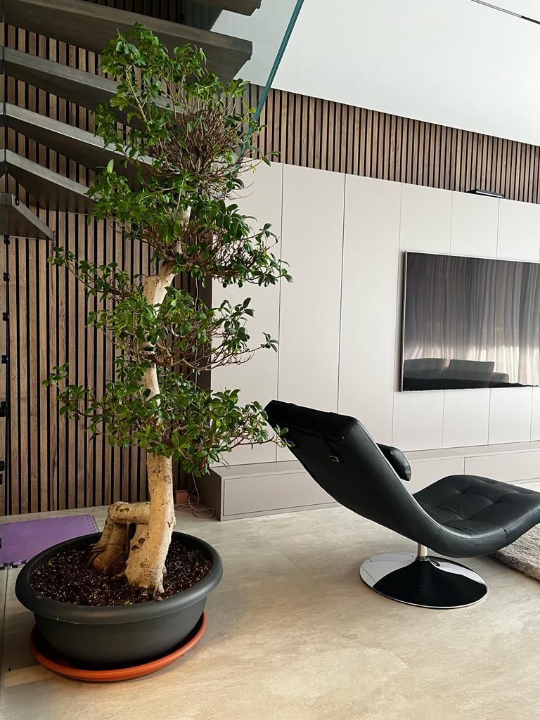 Luxury Villa for rent | Pipera | SMART Home - Poză 7